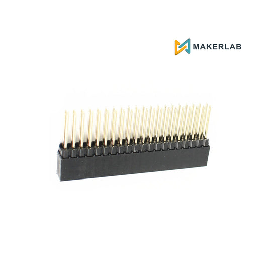 2X20 2.54mm Long Female Header pin